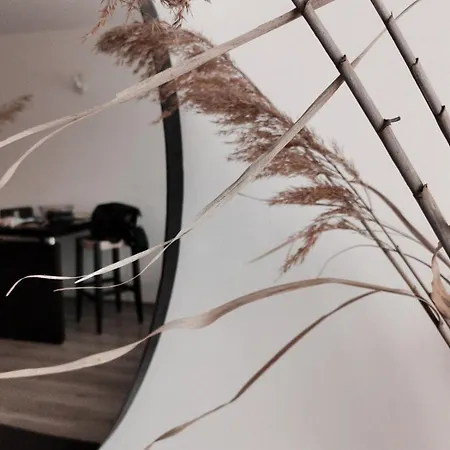 Boho 4 Pools 10min To The Burgasz